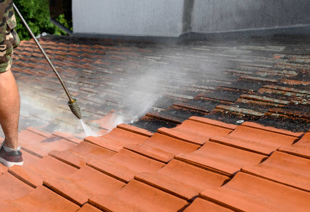 Best Deck Cleaning Services  in Spring Arbor, MI