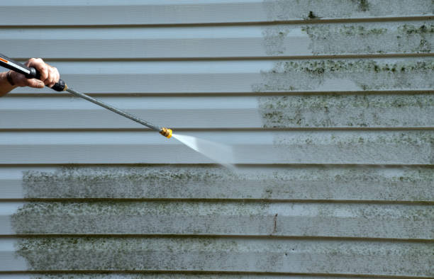 Best Deck Cleaning Services  in Spring Arbor, MI