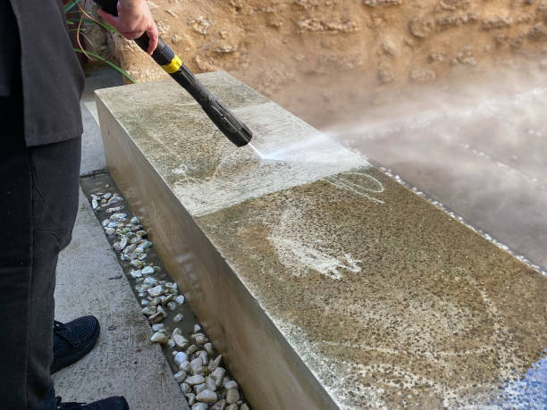 Best Pressure Washing Near Me  in Spring Arbor, MI