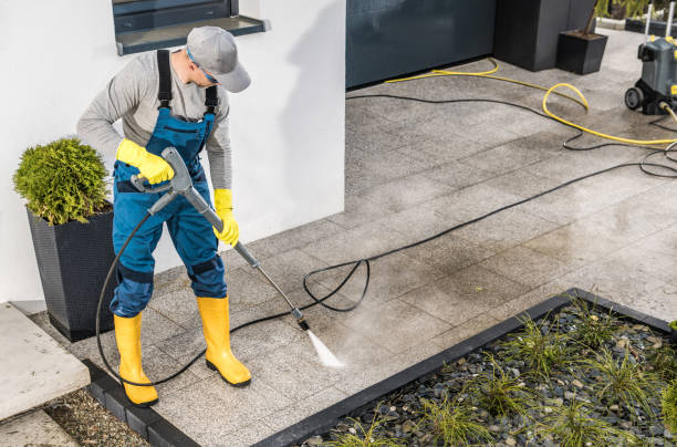 Best House Pressure Washing  in Spring Arbor, MI