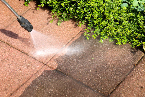 Best Pressure Washing Services Near Me  in Spring Arbor, MI