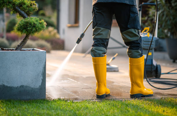 Best Residential Pressure Washing Services  in Spring Arbor, MI
